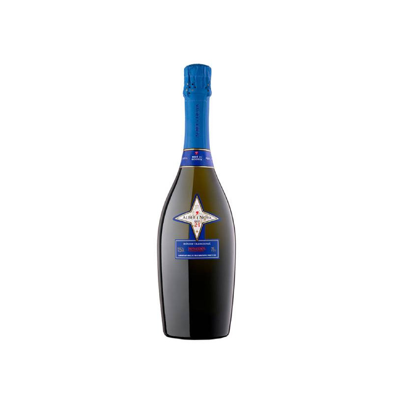 Bottle of Albet i Noya Brut 21