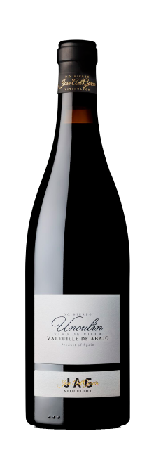 José Antonio García Viticultor Valtuille Vino de Villa 2020 | Decantalo (1x75cl)