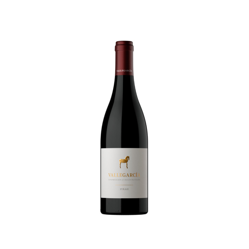 Vallegarcía Syrah 2022