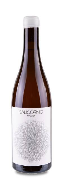Casa Balaguer Salicornio Malvasía 2023 | Decantalo (1x75cl)