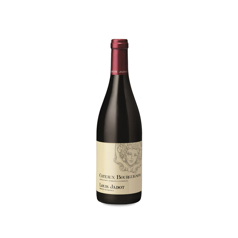 Louis Jadot Coteaux Bourguignons 6本セット louis-jadot-coteaux-