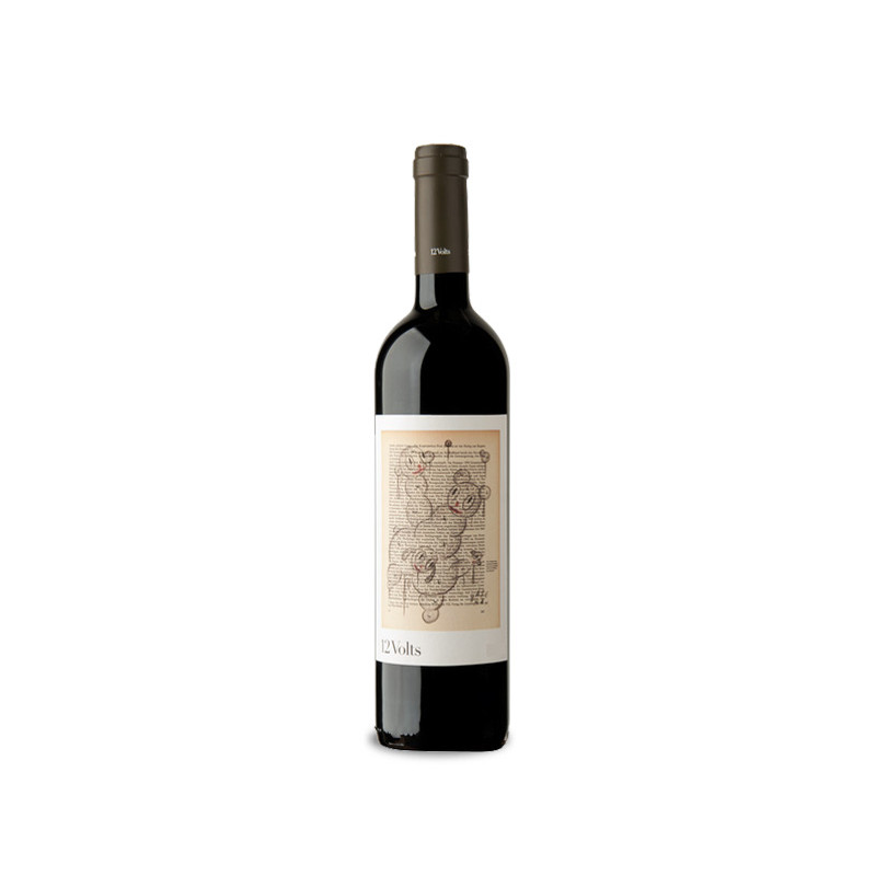 Bottle of 12 Volts 2023