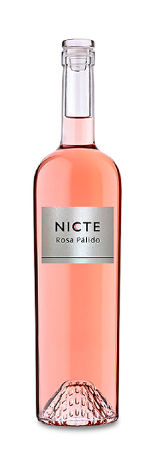 Nicte Rosa Pálido 2024