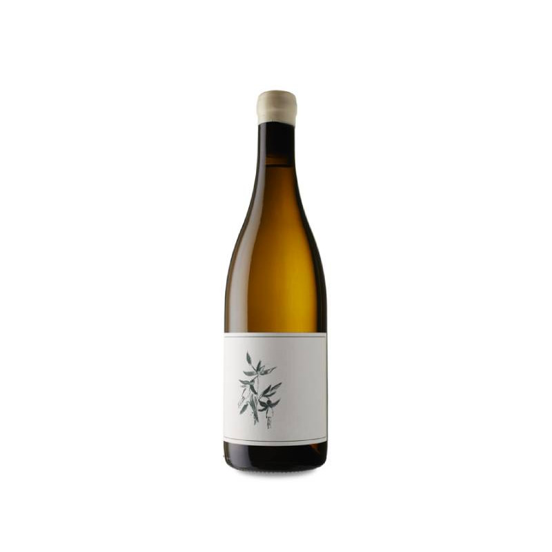 Arnot-Roberts Trout Gulch Vineyard Chardonnay 2023