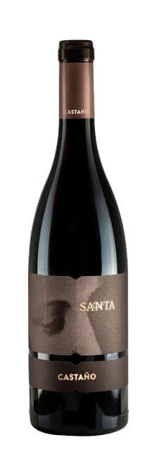 Santa Castaño 2020