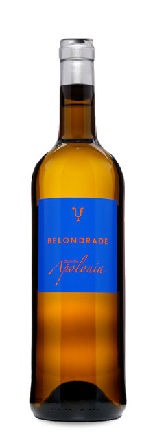 Quinta Apolonia 2024