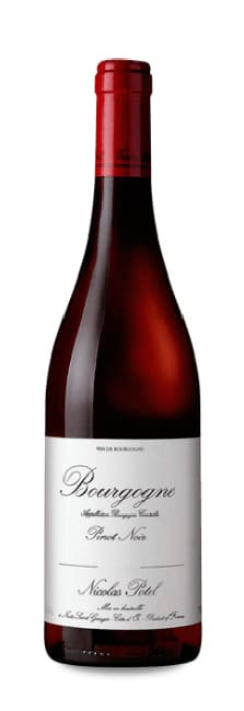 Nicolás Potel Borgoña Pinot Noir 2023 | Decantalo (1x75cl)