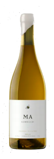 Andrea Mufatto Godello 2023