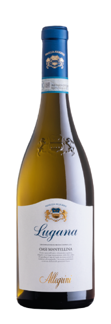 Allegrini Lugana Oasi Mantellina DOC 2024 | Decantalo (1x75cl)