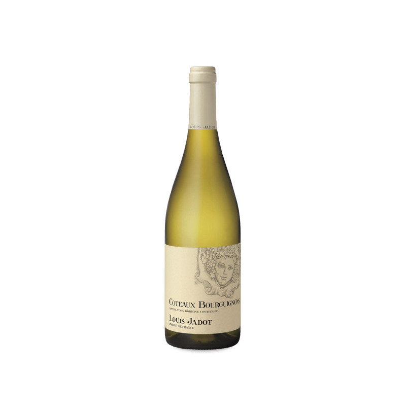Louis Jadot Coteaux Bourguignons Blanc 2024