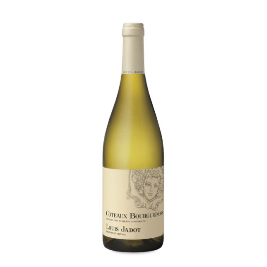 Louis Jadot Chablis 1er Cru Les Fourchaumes 2023 | Decántalo