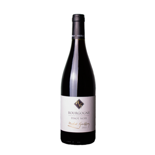 Nicolas Gauffroy Bourgogne...